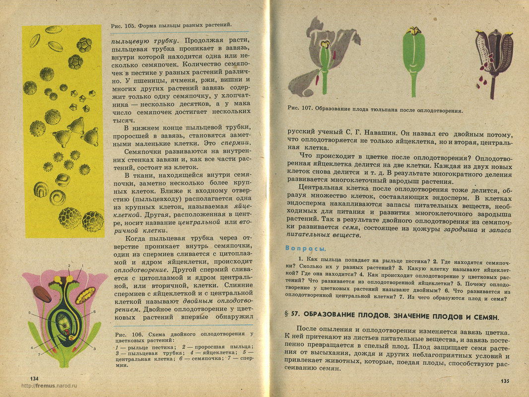 FREMUS: Ботаника. Учебник для 5-6 классов средней школы. В ...
