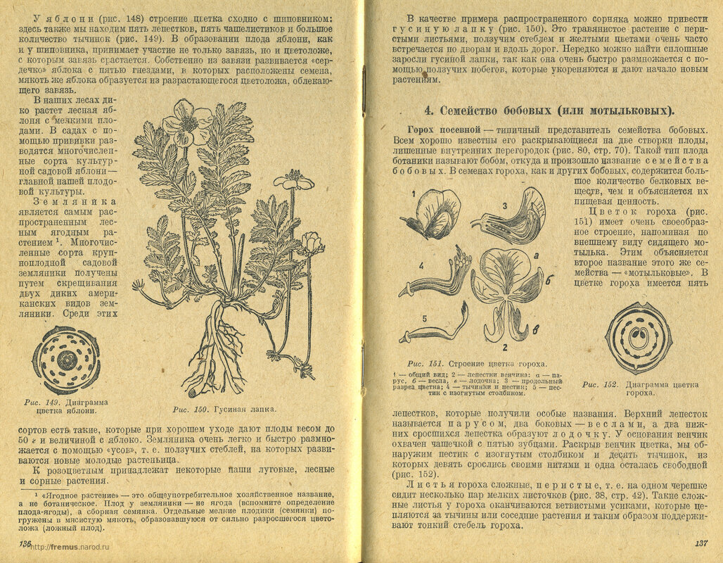 FREMUS: Ботаника. Учебник для 5 и 6 классов неполной средней и средней ...