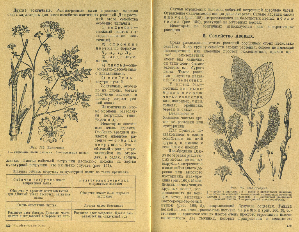 FREMUS: Ботаника. Учебник для 5 и 6 классов неполной средней и средней ...