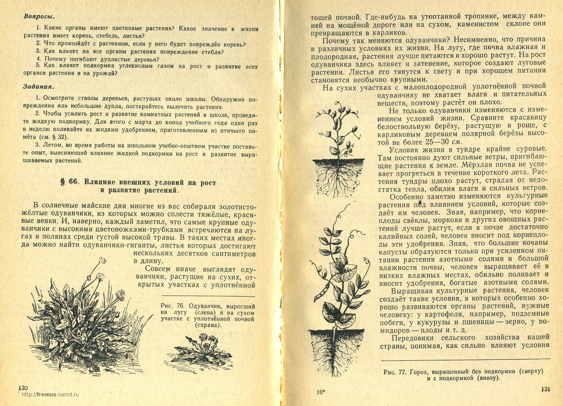 FREMUS: Ботаника. Учебник для 5-6 классов восьмилетней школы (пробный ...