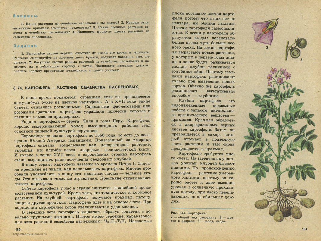 FREMUS: Ботаника. Учебник для 5-6 классов средней школы. В.А.Корчагина ...