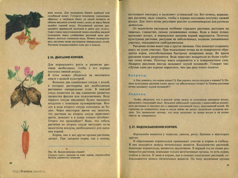 FREMUS: Ботаника. В.А.Корчагина. Учебник для 5-6 классов. 1980 г.