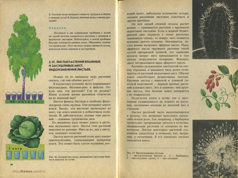 FREMUS: Ботаника. В.А.Корчагина. Учебник для 5-6 классов. 1980 г.