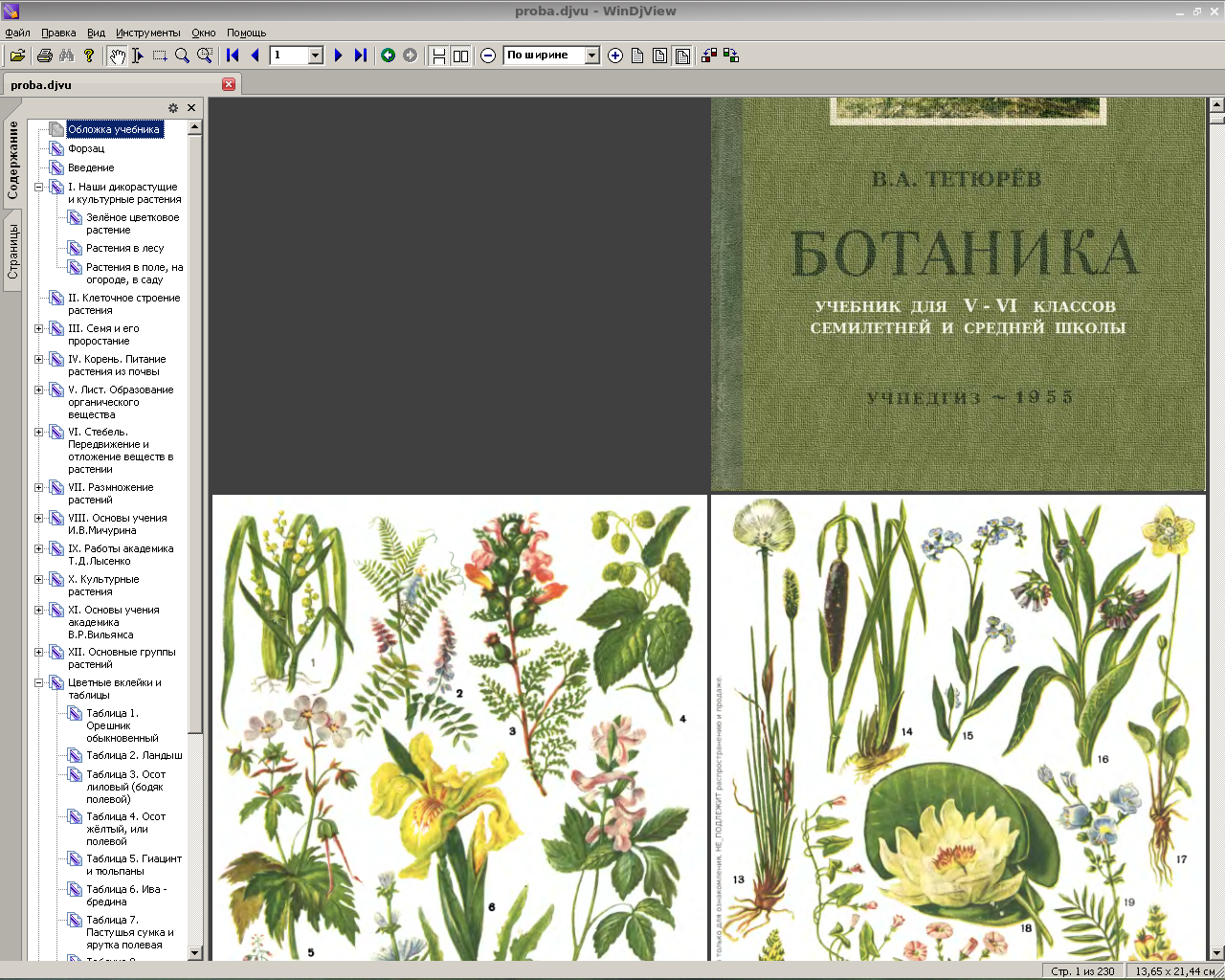 FREMUS: Ботаника. Учебник для V-VI классов семилетней и средней школы ...